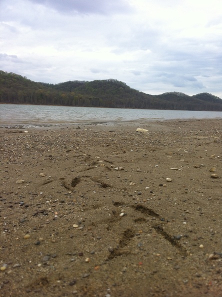 Lockegee Rock and Cave Run Lake 20.jpg